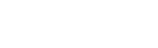 Indosole